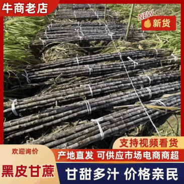 黑皮甘蔗精品甘蔗产地发货品质保障对接商超市场