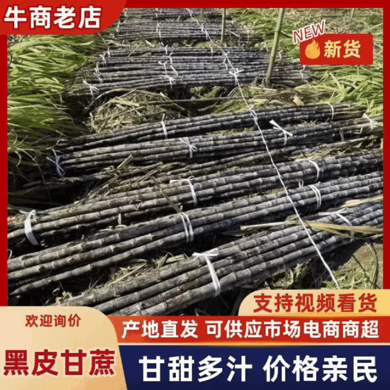 黑皮甘蔗精品甘蔗产地发货品质保障对接商超市场
