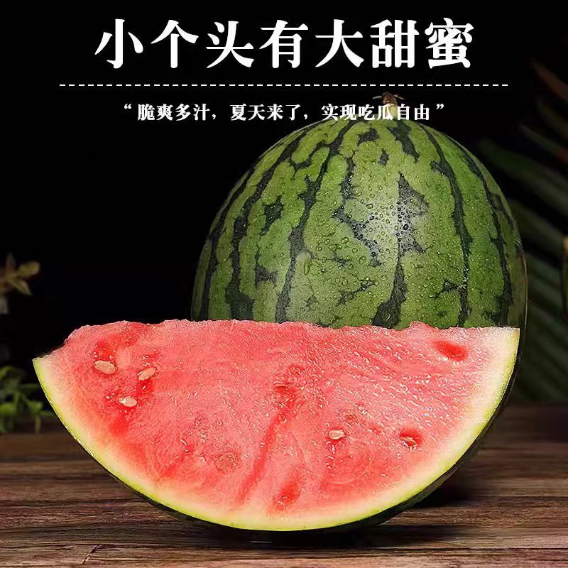 小糖丸西瓜上市产地直发全国发货诚信经营支持视频看货
