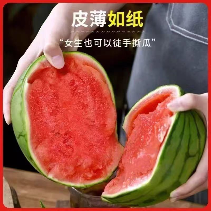 小糖丸西瓜上市产地直发全国发货诚信经营支持视频看货