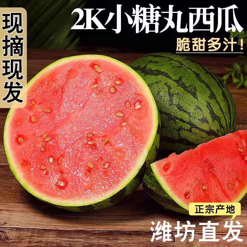 小糖丸西瓜上市产地直发全国发货诚信经营支持视频看货