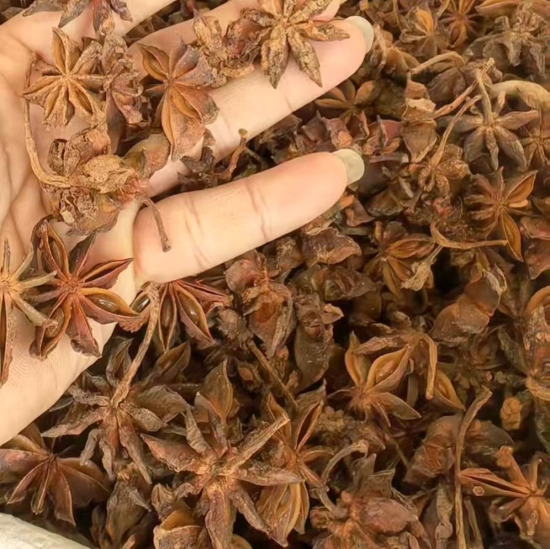 【推荐】精品大红八月八角货源充足产地直发