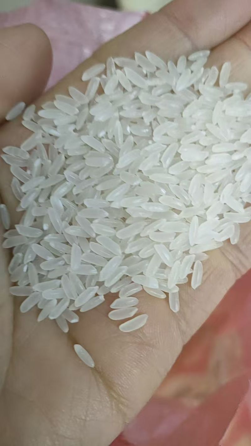 正宗东北长粒香大米，全国发货，对接全国老板，欢迎联系