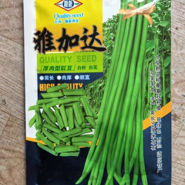 赣新雅加达豇豆种子翠绿条中早熟耐高温白籽白花长豆角种子