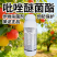 吡唑醚菌酯30%锈病白粉病炭疽病叶斑病黑星病斑点病杀菌剂