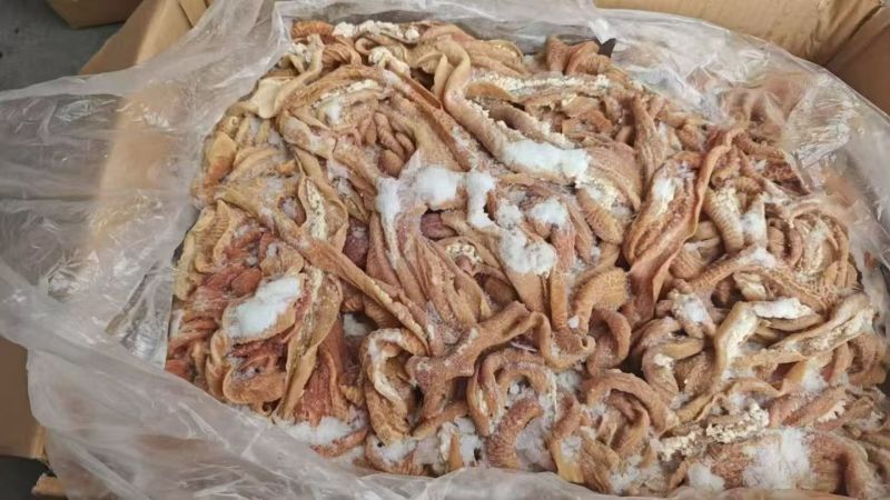 牛小肠，散带碗口，源头直供/量大从优/欢迎下单联系