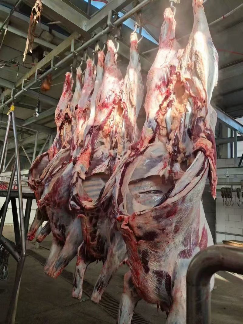 甘肃本地精品牦牛肉/量大从优/源头直发/欢迎下单联系