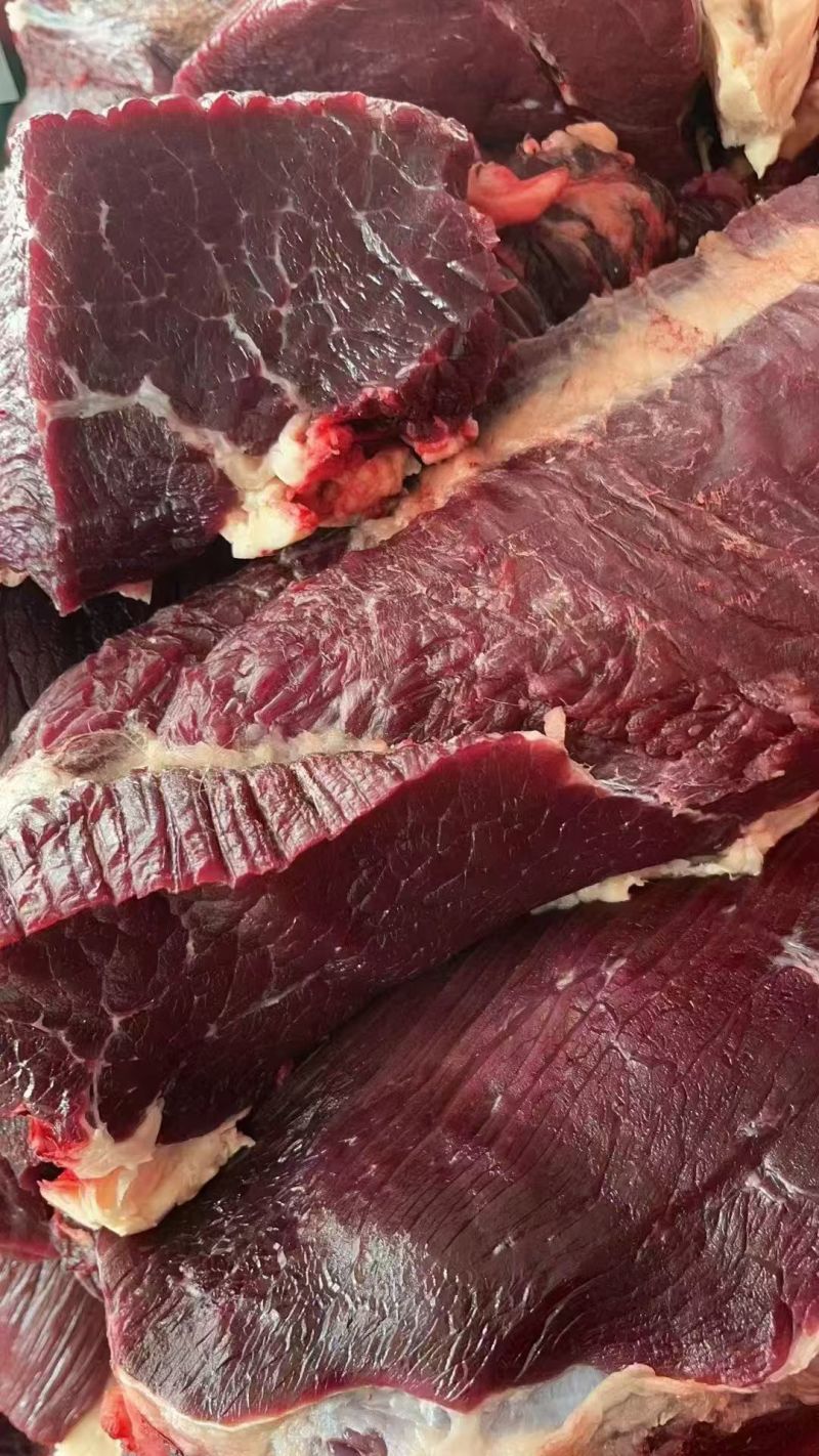 甘肃本地精品牦牛肉/量大从优/源头直发/欢迎下单联系