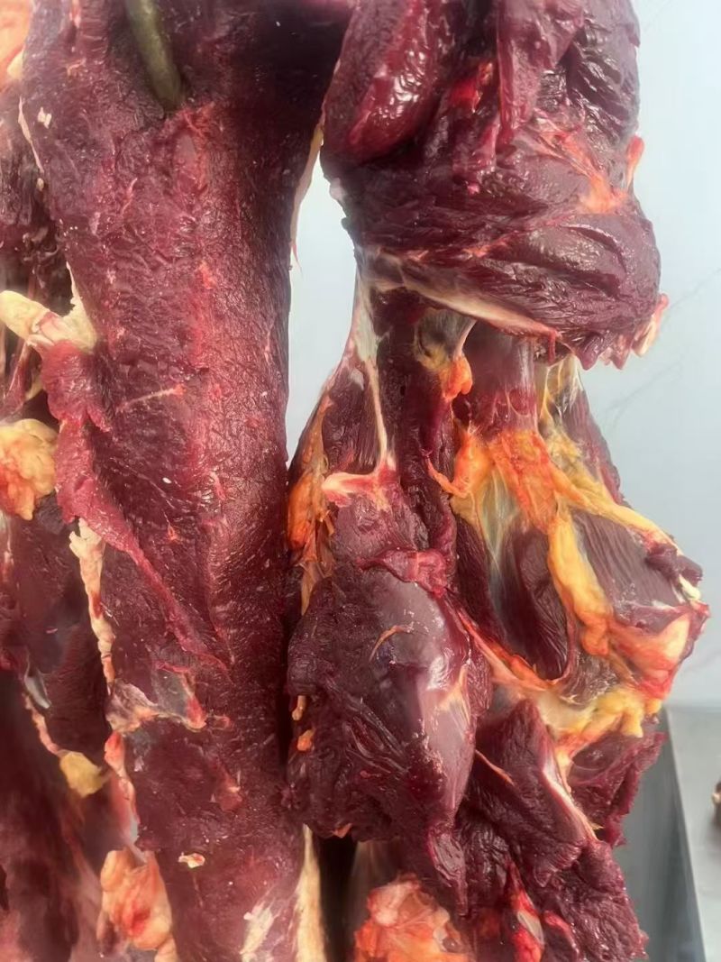甘肃本地精品牦牛肉/量大从优/源头直发/欢迎下单联系