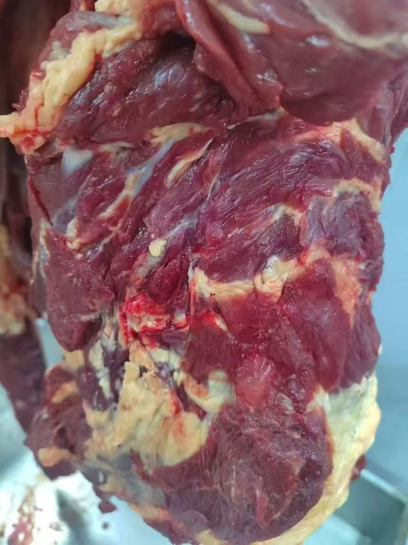 甘肃本地精品牦牛肉/量大从优/源头直发/欢迎下单联系