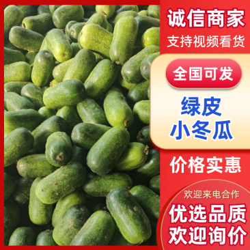 山东冬瓜精品一串铃冬瓜毛冬瓜大量上市产地代发全国