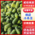山东冬瓜精品一串铃冬瓜毛冬瓜大量上市产地代发全国