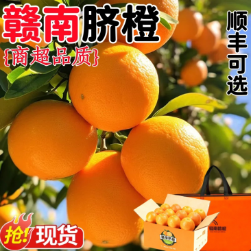 橙子赣南脐橙新鲜5斤正宗江西赣州脐橙官方旗舰店产地直发甜