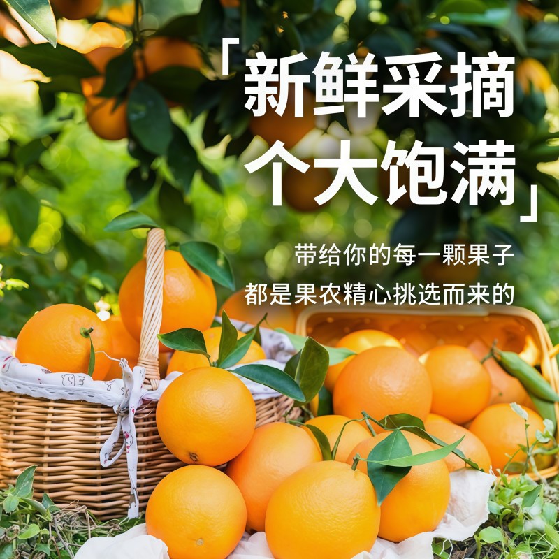 橙子赣南脐橙新鲜5斤正宗江西赣州脐橙官方旗舰店产地直发甜