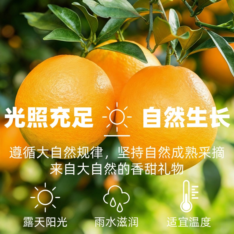 橙子赣南脐橙新鲜5斤正宗江西赣州脐橙官方旗舰店产地直发甜