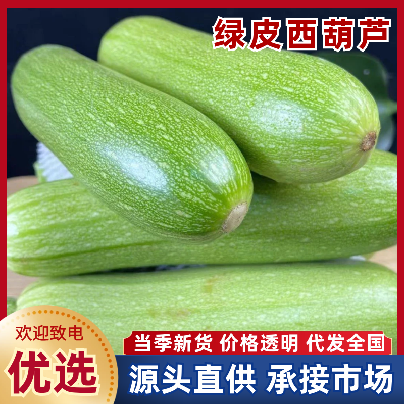 西葫芦绿皮西葫芦基地直供，品质保证，量大从优欢迎来电洽谈