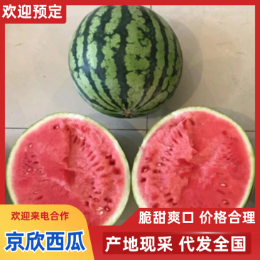 江苏西瓜301西瓜产地一手货源,规格齐全,对接电商市场