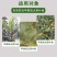 40%克菌丹杀菌剂果树斑点落叶病树脂病沙皮病除果锈农用