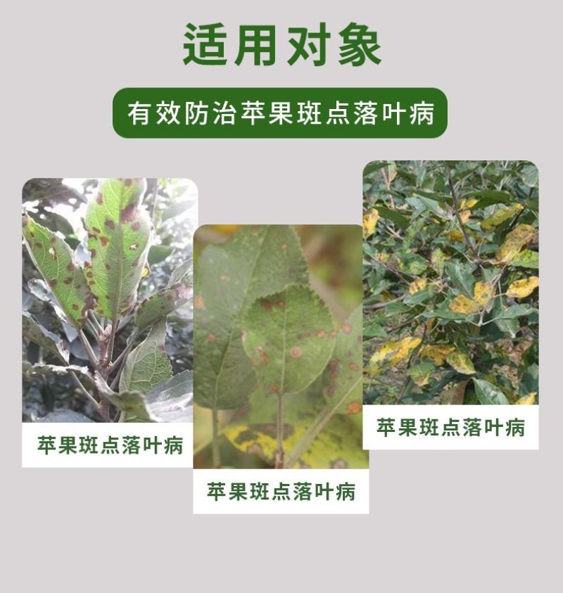 40%克菌丹杀菌剂果树斑点落叶病树脂病沙皮病除果锈农用