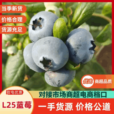 蓝莓蓝莓，产地直发，大量有货，精品蓝莓品质保证