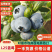 蓝莓蓝莓，产地直发，大量有货，精品蓝莓品质保证