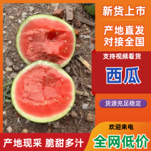 （热卖）陕西美都西瓜价格优惠质量好走货快对接全国清甜可口