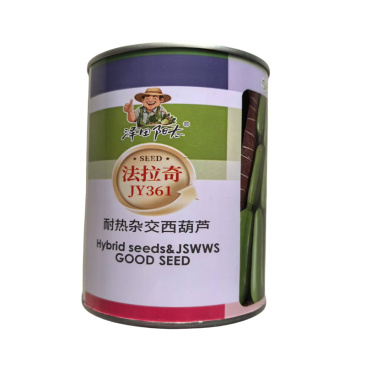 西葫芦种子法拉奇耐热杂交西葫芦种子荷兰引进油亮西葫角瓜