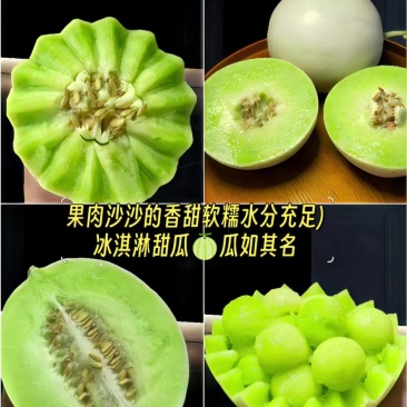 山东玉菇甜瓜承接市场，超市，电商，外贸，基地直发