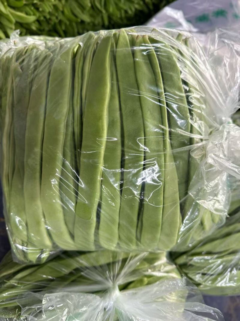 【热卖】芸豆白产地直销量大质优价优欢迎各大老板