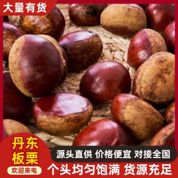 丹东板栗支持电商一件代发和市场批发供货保质保量发货中