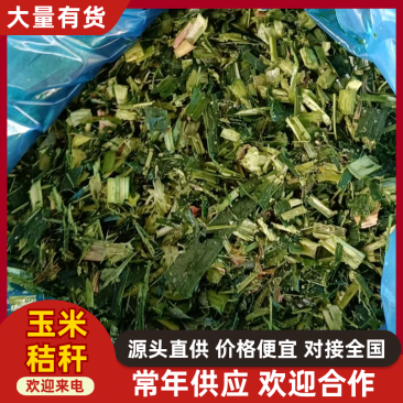 玉米秸秆柔丝草，保证无土，无膜，无沙，无霉变，常年供货