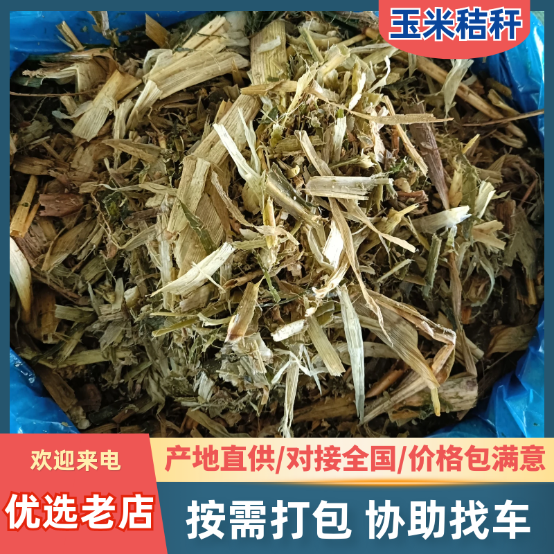 玉米秸秆，青储饲料，霉变、无杂质，饲用品质佳量大从优可视