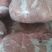 广西4号卷精品猪肉常年供应可视频看货量大价优
