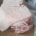 广西4号卷精品猪肉常年供应可视频看货量大价优