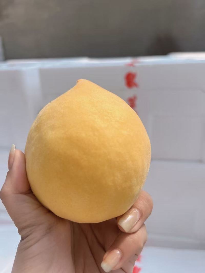 黄油桃【精品黄油桃】大量供应产地直发欢迎电话咨询