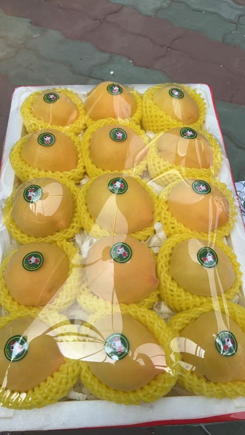 黄油桃【精品黄油桃】大量供应产地直发欢迎电话咨询