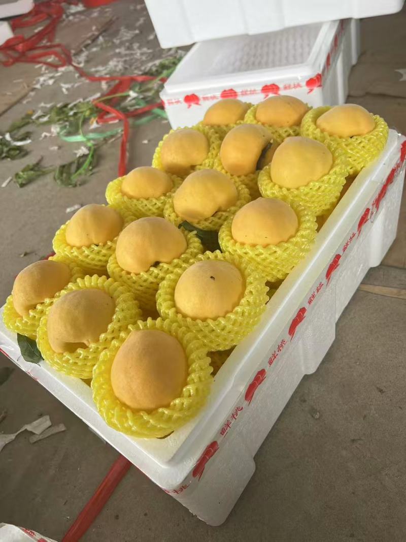 黄油桃【精品黄油桃】大量供应产地直发欢迎电话咨询