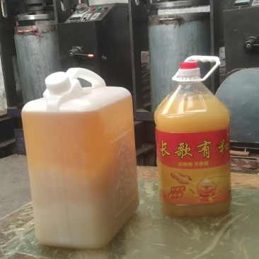 花生油山东厂家直供质量保证一级压榨全国发货欢迎订购