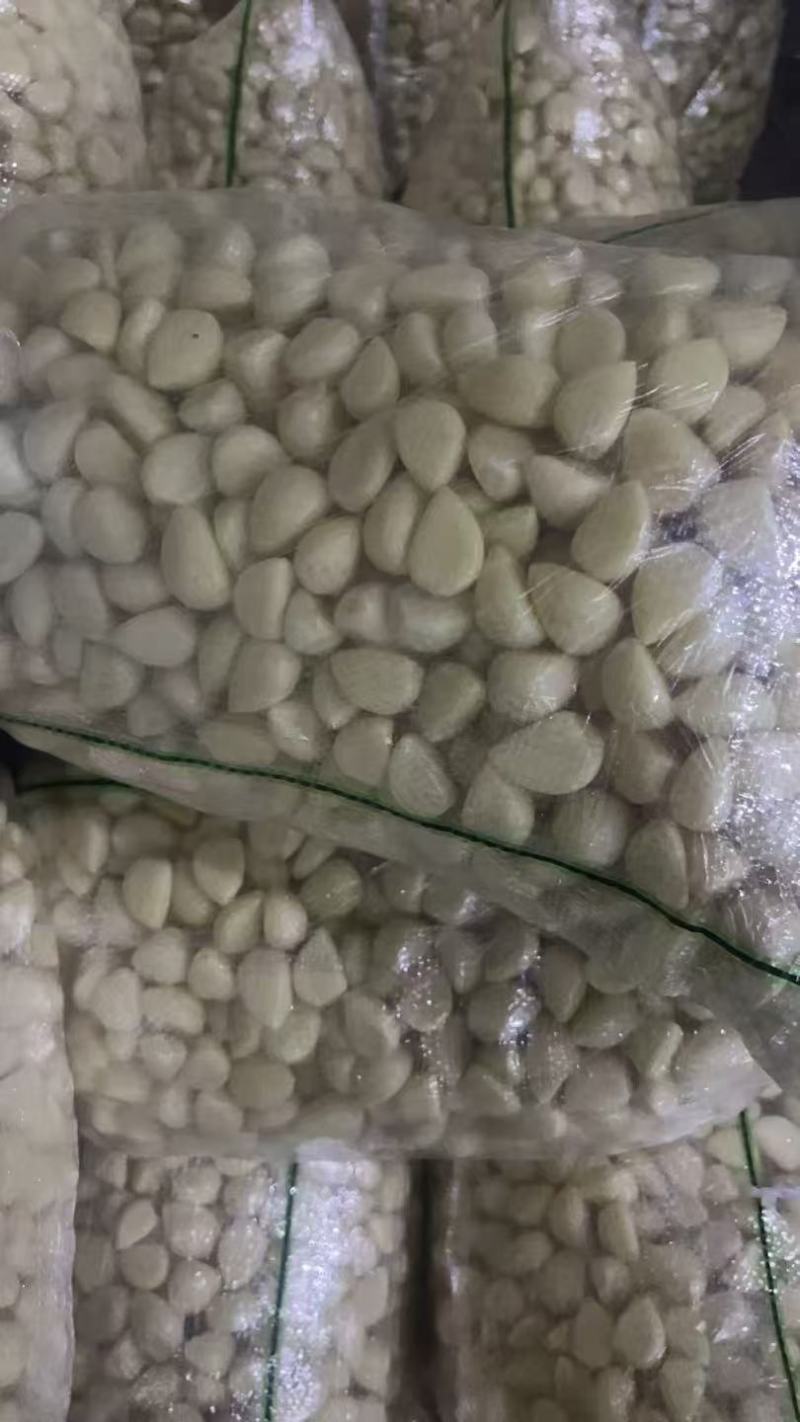 临沂兰陵蒜米脱皮完整干净无杂大小都有承接加工批发餐饮电商