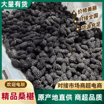 四川大凉山德昌果桑鲜桑葚批发商超，市场，社区团购，档口直供