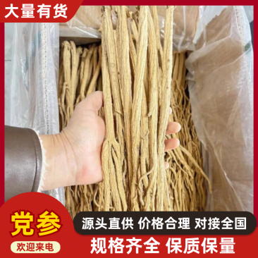 甘肃岷县党参寸节