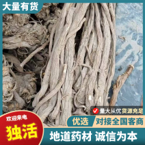 甘肃独活产地直发货源充足可视频看货欢迎致电