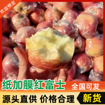 纸加膜苹果红富士苹果🍎产地直发品质保障可视频看货对接