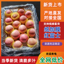 万荣纸加膜红富士苹果口感脆甜冰糖心苹果山西万荣县产地直发