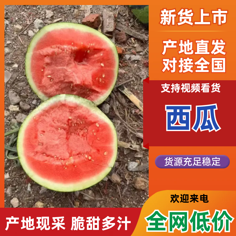 陕西美都西瓜价格优惠量大从优欢迎采购热卖全国欢迎询价