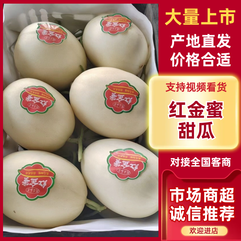 山东红金蜜甜瓜大量上市中，口感脆甜多汁价格优惠质量保证，