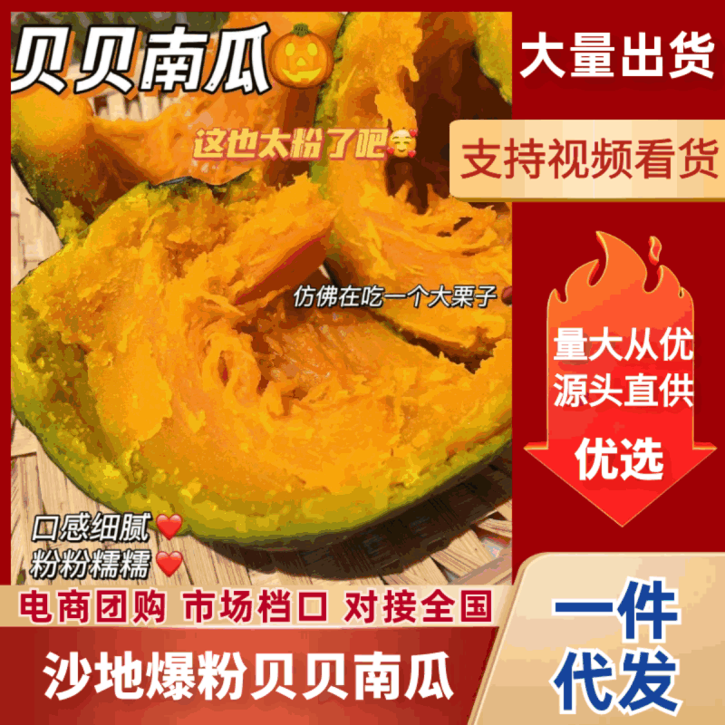 【广西贝贝南瓜】爆粉贝贝南瓜/沙地南瓜/电商团购一件批发