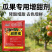 葡萄草莓甜瓜萝卜西瓜荔枝樱桃增甜剂甜蜜素专用增甜防裂微量