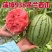 热推陕西蒲城吊兰西瓜938吊兰西瓜包熟包甜实力代发