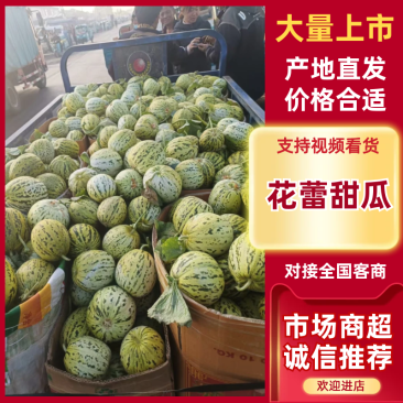 临沂费县花美人花蕾甜瓜电商社区团购市场渠道货大量供应